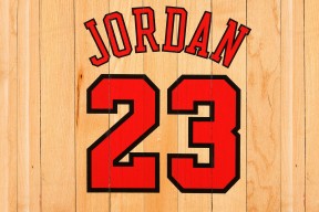 九游体育app下载方式-分区决赛四强战爆出冷门！莱比锡险胜菲尼克斯太阳，争冠形势突变